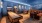 Game room with shuffleboard table and pinball machine